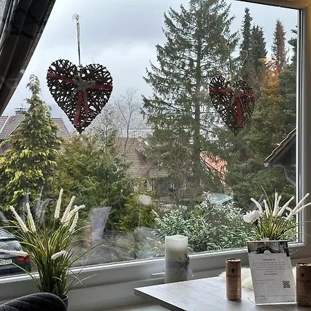 Apartment Wurmbergblick Nico In